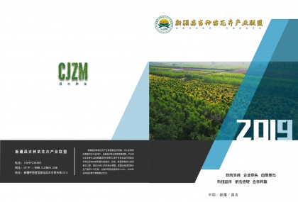 新疆昌吉种苗花卉产业联盟2019版画册 (0)
